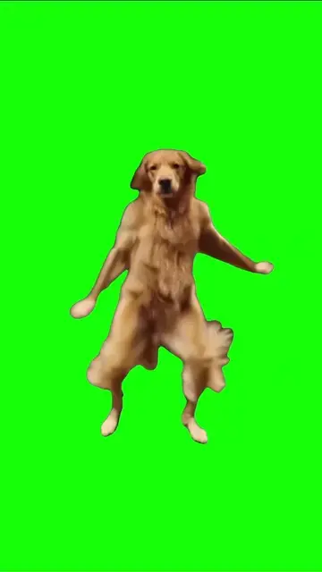 Green-screen version of the AI golden retriever dance, shared as a template (TikTok by @green.scream.memes)