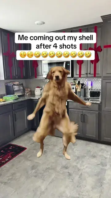 Golden retriever dancing in a kitchen with a caption overlay (tagged #CapCut); Know Your Meme lists it as an early copy of the original (TikTok by @savannah00112)